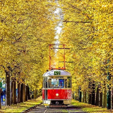 民宿 Blizko Narodniho Muzea A1